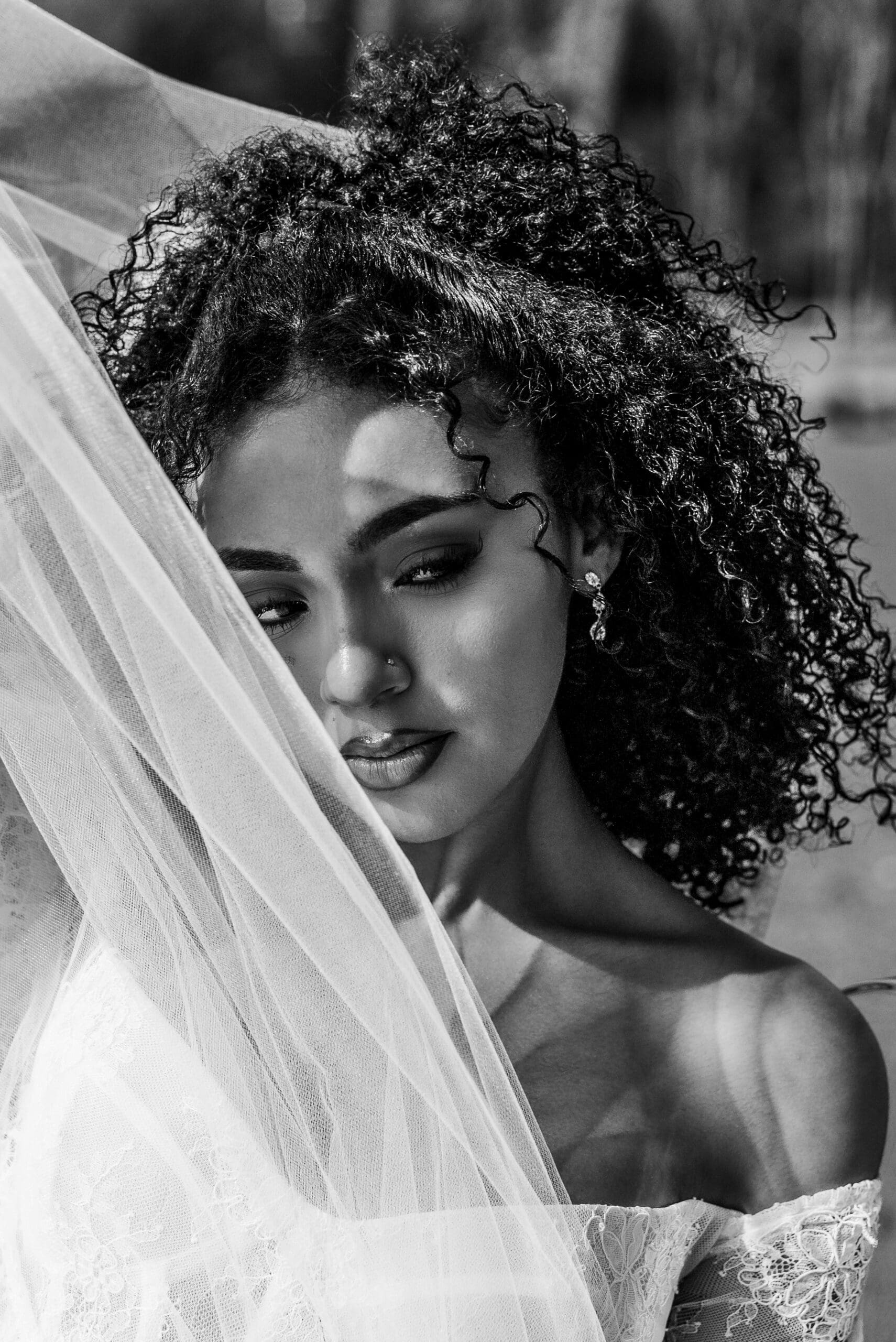Black and white bridal portrait with an ornate veil