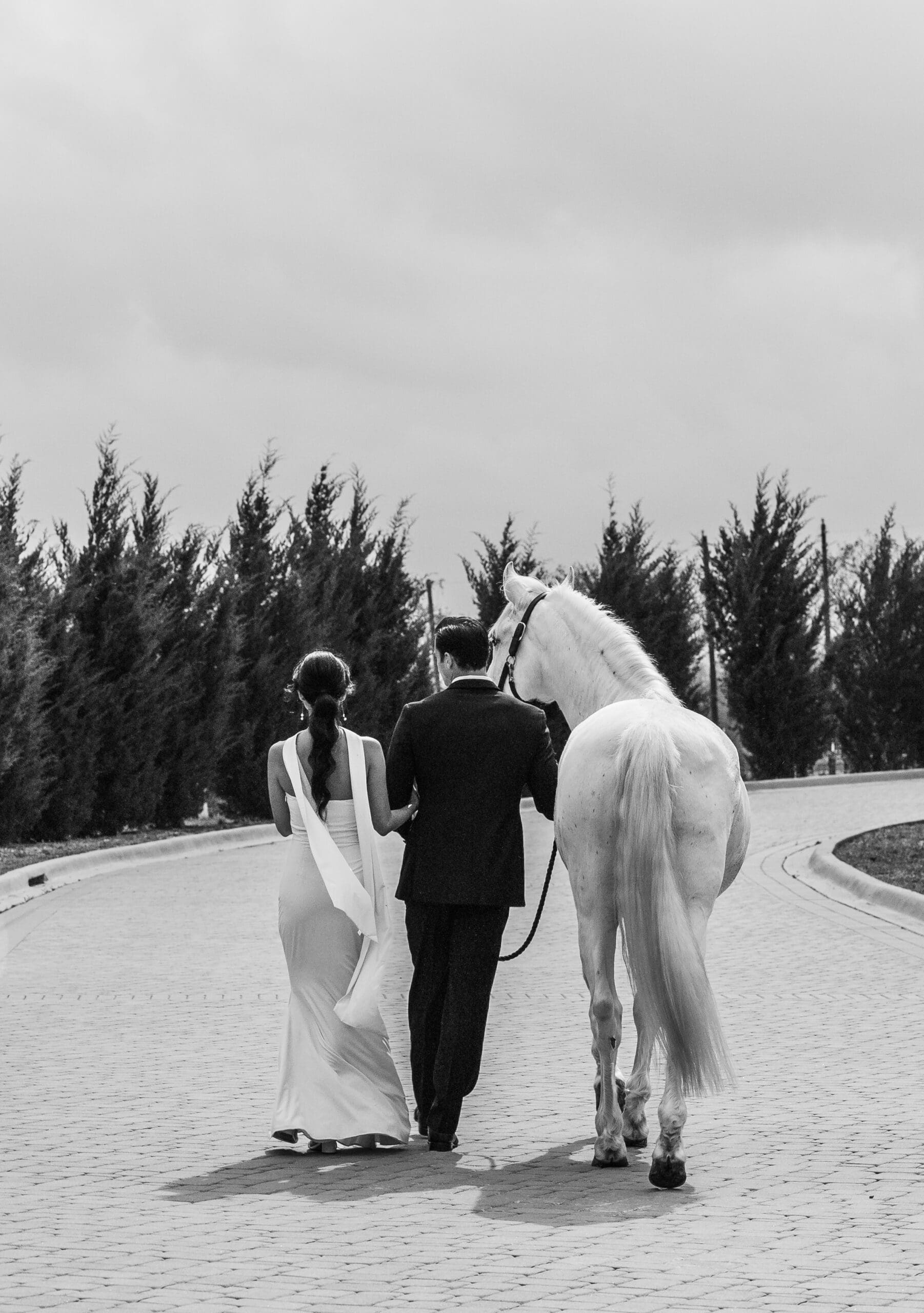 Bride and groom standing with a white horse on a tree-lined road