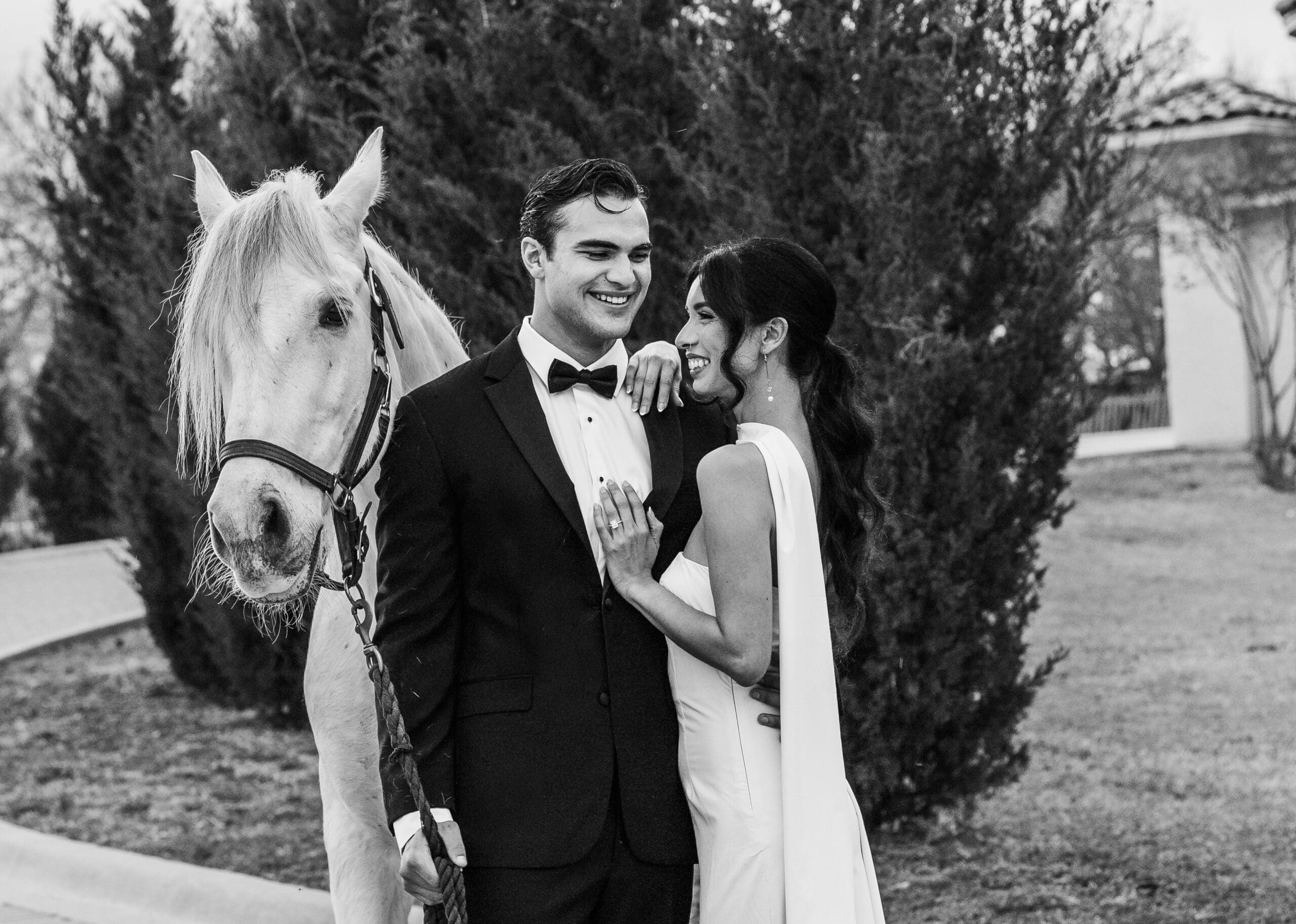 Black and white wedding portrait with a white horse